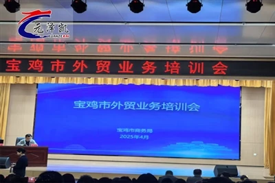 ¿Pueden las exportaciones de barras de titanio de China aún continuar sin pro...